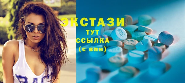 индика Мегион