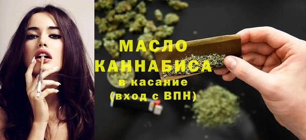 индика Мегион