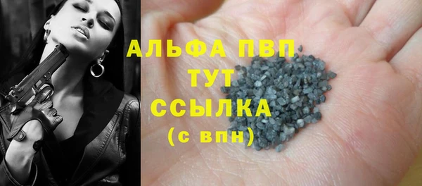 шишки Медвежьегорск