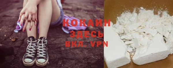 индика Мегион
