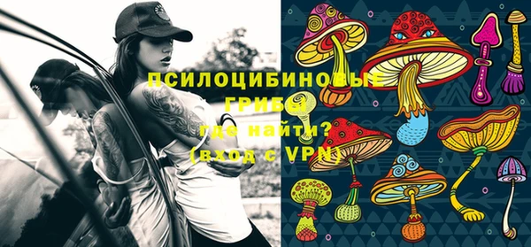 гашик Майский