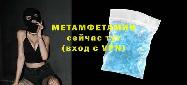 шишки Медвежьегорск