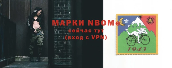 индика Мегион