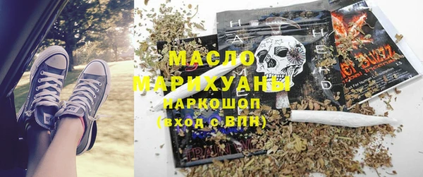 шишки Медвежьегорск