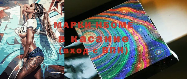 шишки Медвежьегорск