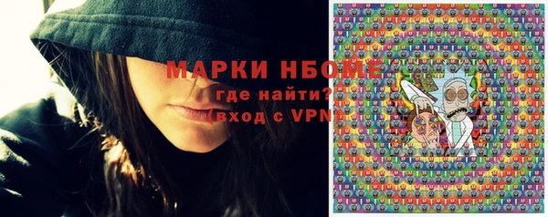 индика Мегион