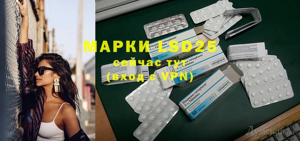 шишки Медвежьегорск