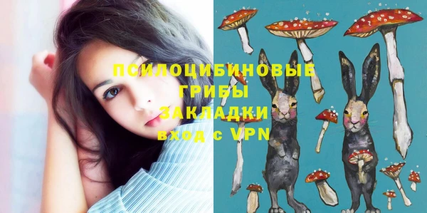 шишки Медвежьегорск