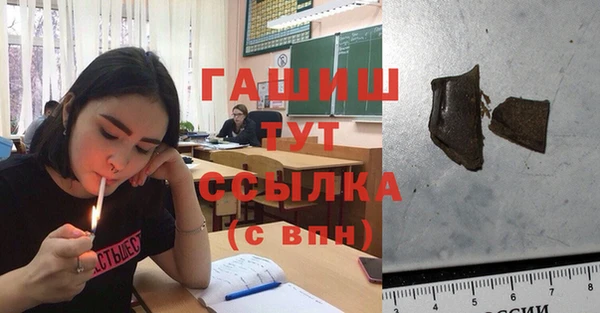 индика Мегион