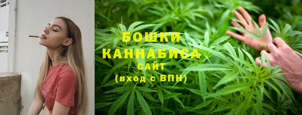 крисы Вязники