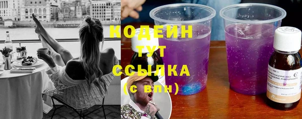 шишки Медвежьегорск