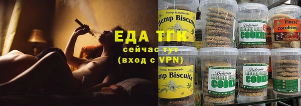 индика Мегион