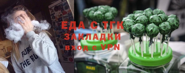 индика Мегион