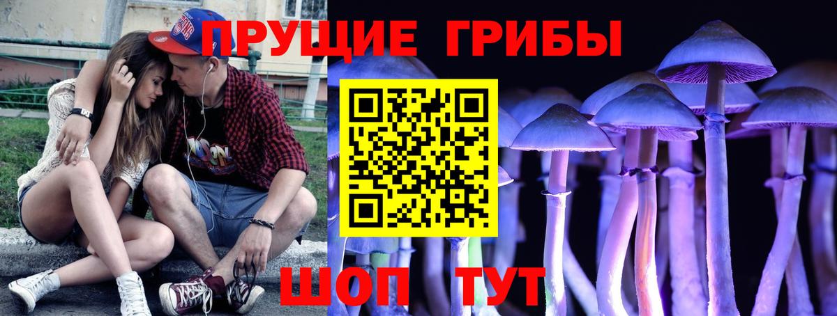 Галлюциногенные грибы Magic Shrooms Георгиевск